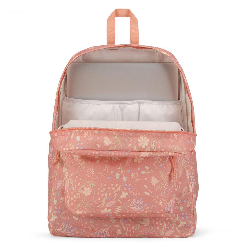 Sac à Dos Scolaire JanSport SuperBreak? Plus Rose | NCI-41621236